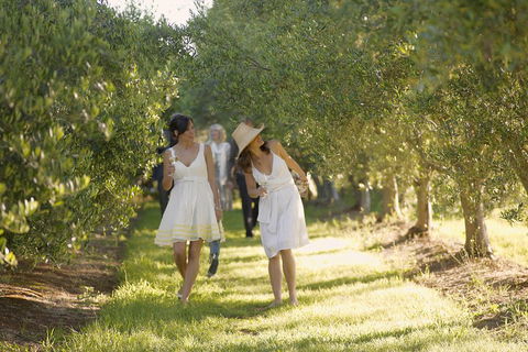 Yarra Valley Wine Tour With Local Harvest Tastings From Melbourne - Accommodation Gladstone 0