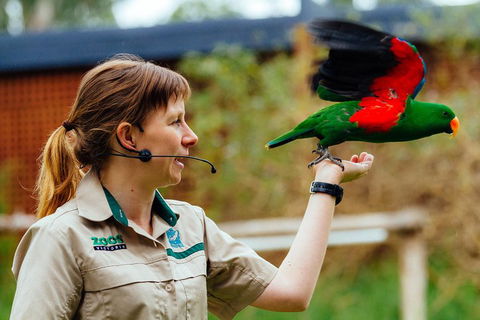VIP Sanctuary Tour At Healesville Sanctuary Ticket - Accommodation Gladstone 0
