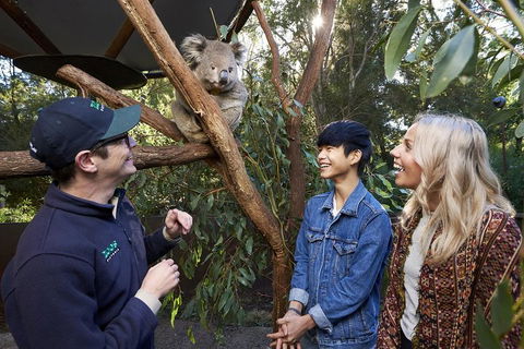 VIP Sanctuary Tour At Healesville Sanctuary Ticket - Accommodation Gladstone 1