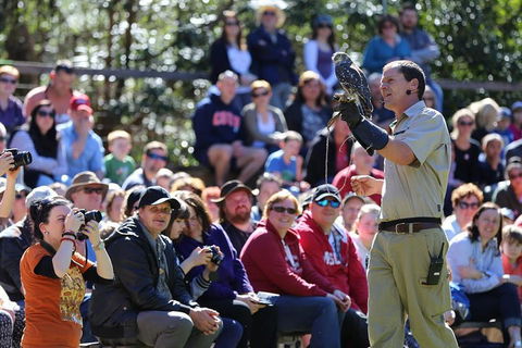 VIP Sanctuary Tour At Healesville Sanctuary Ticket - Accommodation Gladstone 4