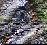 Full-Day Canyoning Experience at Stunning Empress Canyon - Accommodation Gladstone