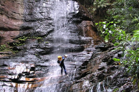 Full-Day Canyoning Experience At Stunning Empress Canyon - Accommodation Gladstone 0