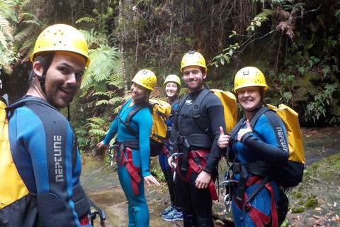 Full-Day Canyoning Experience At Stunning Empress Canyon - Accommodation Gladstone 1
