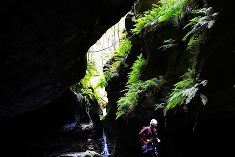 Full-Day Canyoning Experience At Stunning Empress Canyon - Accommodation Gladstone 2