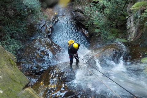 Full-Day Canyoning Experience At Stunning Empress Canyon - Accommodation Gladstone 4