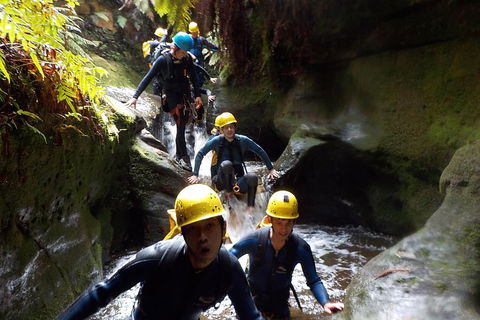 Full-Day Canyoning Experience At Stunning Empress Canyon - Accommodation Gladstone 5