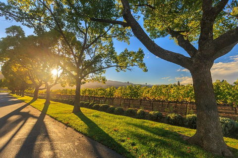 Very Best Of Perth Tour - Wildlife Park & City Highlights Tour - Accommodation Gladstone 2