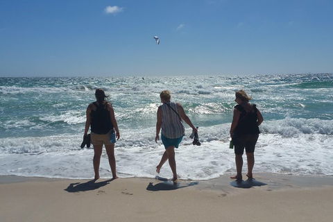 Very Best Of Perth Tour - Wildlife Park & City Highlights Tour - Accommodation Gladstone 5