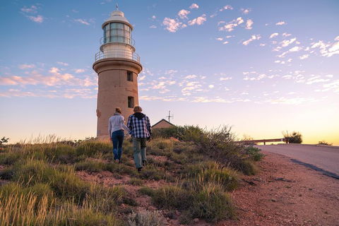 6-Day Coral Coaster From Perth To Exmouth One-Way Via Monkey Mia Ningaloo Reef - Accommodation Gladstone 0