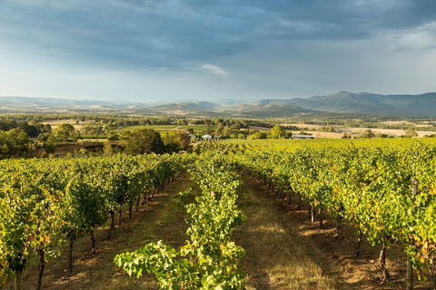 Yarra Valley Local Produce And Wine Tasting Tour - Accommodation Gladstone 3