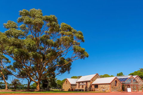 McLaren Vale And Glenelg Wine Tasting And Sightseeing (Half-day Afternoon) - Accommodation Gladstone 5