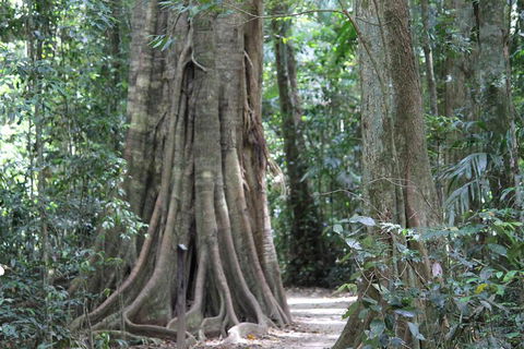 Noosa And Sunshine Coast Hinterland Day Trip From Brisbane - Accommodation Gladstone 3