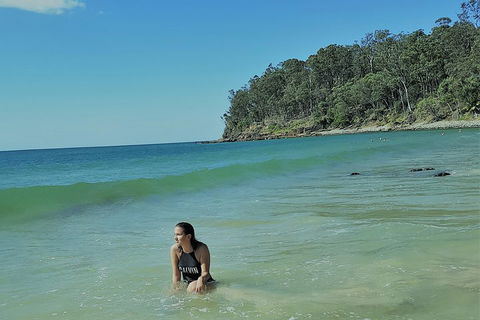 Noosa And Sunshine Coast Hinterland Day Trip From Brisbane - Accommodation Gladstone 4