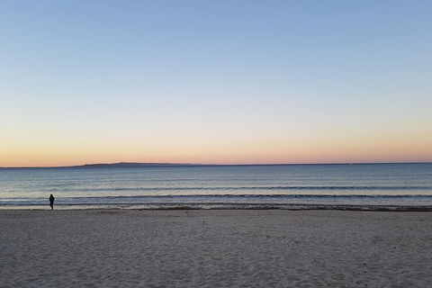 Noosa And Sunshine Coast Hinterland Day Trip From Brisbane - Accommodation Gladstone 5
