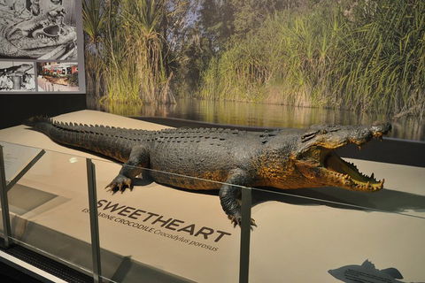 Explore Darwin City Sights Including Key Attractions - Accommodation Gladstone 2