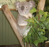Blue Mountains Private Full-Day Tour from Sydney with Cruise