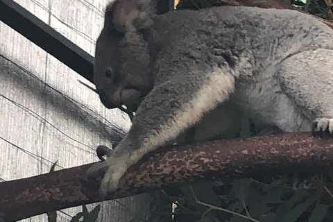 Perth Hills - Wildlife, Art & Gastronomy - Accommodation Gladstone 3