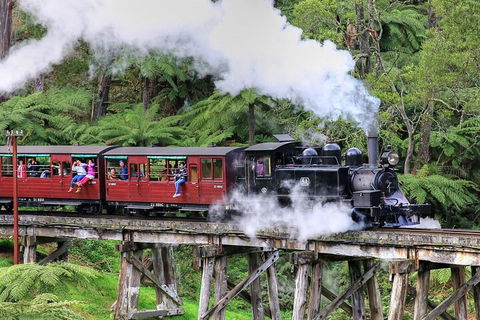 Puffing Billy And Healesville Sanctuary Scenic Tour - Accommodation Gladstone 2