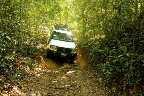 Barron Gorge And Kuranda National Park Half Day Rainforest And Waterfall 4WD Tour From Cairns - Accommodation Gladstone 2