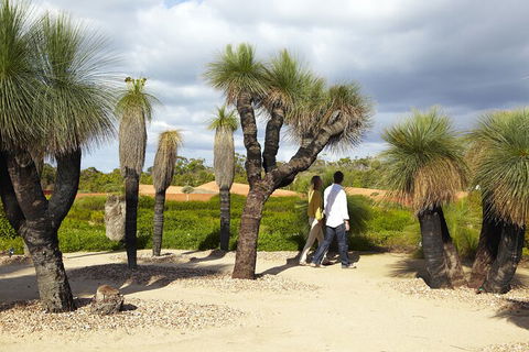 1 Day Exclusively Private Tour Of Phillip Island & The Penguin Parade - Accommodation Gladstone 0