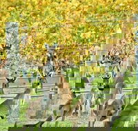 Margaret River Indulge and Discover Day Tour - Accommodation Gladstone