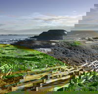 Full-Day Private Australian Wildlife Tour of Phillip Island - Accommodation Gladstone