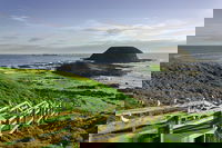 Full-Day Private Australian Wildlife Tour of Phillip Island, Melbourne
