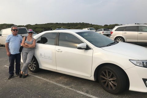 Full-Day Private Australian Wildlife Tour Of Phillip Island - Accommodation Gladstone 1