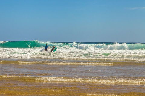 Full-Day Private Australian Wildlife Tour Of Phillip Island - Accommodation Gladstone 3