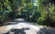 Cairns To Cooktown 4WD Tour - thumb 0