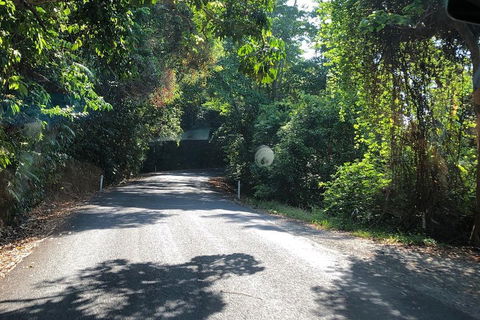 Cairns To Cooktown 4WD Tour - Accommodation Gladstone 0