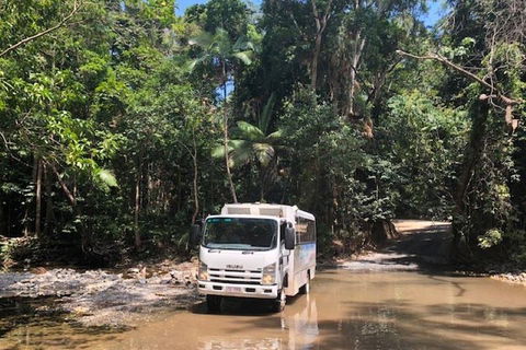 Cairns To Cooktown 4WD Tour - Accommodation Gladstone 5