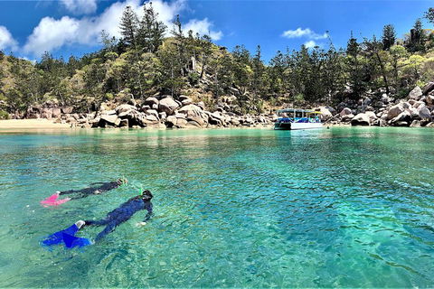 Aquascene Magnetic Island Discovery Tour - Accommodation Gladstone 4