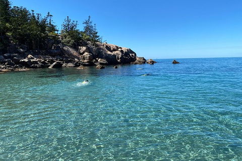 Aquascene Magnetic Island Discovery Tour - Accommodation Gladstone 5