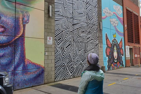 Jimmy C Street Art Walking Tour - Accommodation Gladstone 2