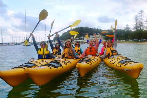 Half-Day Sydney Middle Harbour Guided Kayaking Eco Tour - Accommodation Gladstone 2