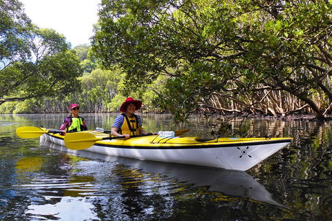 Half-Day Sydney Middle Harbour Guided Kayaking Eco Tour - Accommodation Gladstone 3
