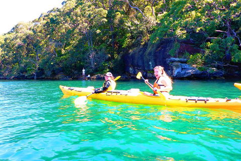 Half-Day Sydney Middle Harbour Guided Kayaking Eco Tour - Accommodation Gladstone 4
