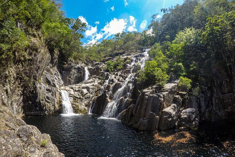 Behana Canyon Rainforest And Waterfall Experience - Accommodation Gladstone 5