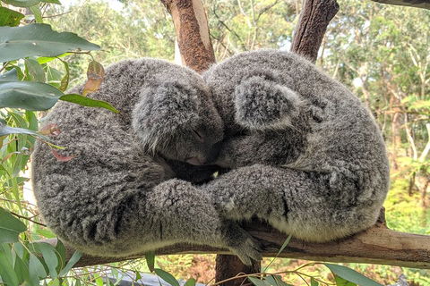 Central Coast Explorer With 'Personalised Sydney Tours' - Accommodation Gladstone 5