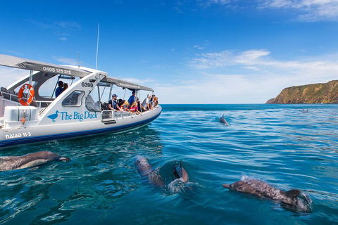 Victor Harbor And McLaren Vale Wine Region Day Tour - Accommodation Gladstone 1
