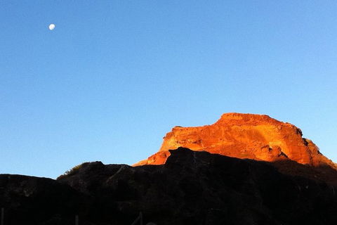 [Private Tour] Mornington Peninsula Family, Maze And Fun! - Accommodation Gladstone 4