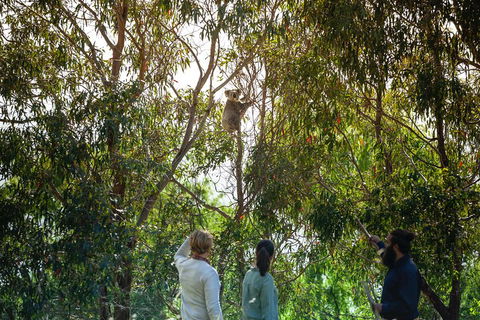 LGBT+ Friendly 3 Day Tour The Grampians, Daylesford & Ballarat - Accommodation Gladstone 4