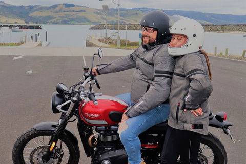 Triumph Street Scrambler 900cc - Accommodation Gladstone 1