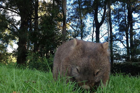 From The Mountains To The Bay - 4 Day Rediscovery Private Tour - Accommodation Gladstone 5