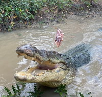 Top End Waterfalls and Wetlands - Accommodation Gladstone