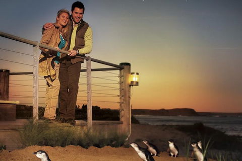 The Ultimate Melbourne Attractions Pass - Accommodation Gladstone 3
