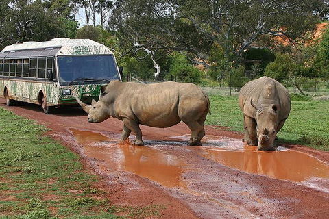 The Ultimate Melbourne Attractions Pass - Accommodation Gladstone 4