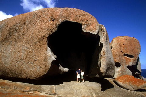 Full-Day Kangaroo Island Safari From Penneshaw - Accommodation Gladstone 0