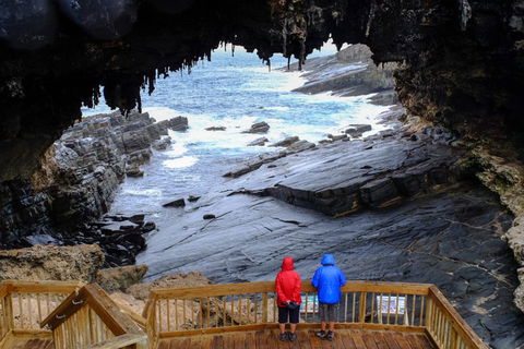 Full-Day Kangaroo Island Safari From Penneshaw - Accommodation Gladstone 1